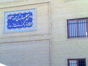 Copy of Picture 255